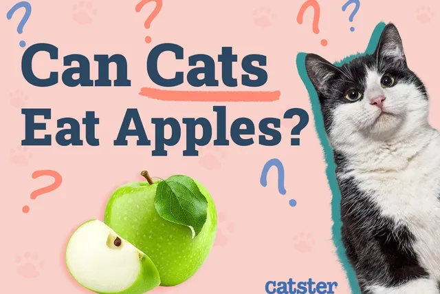 Can Cats Eat Apples? Vet-Reviewed Nutritional Facts & FAQ