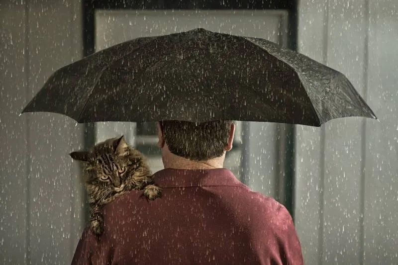 man holds a black umbrella over his cat to keep him safe from the rain
