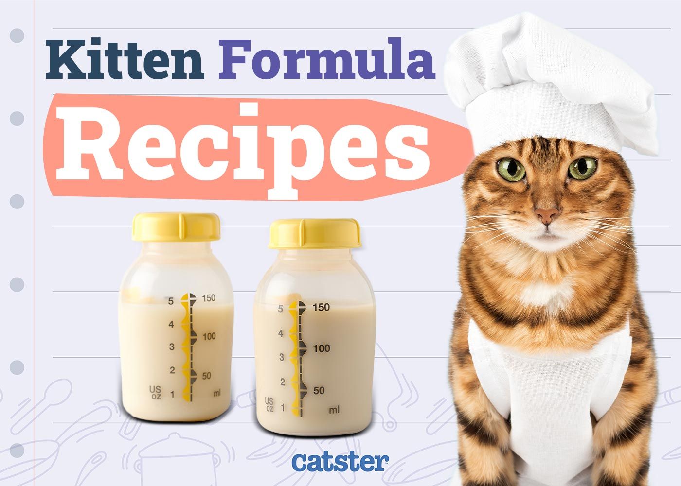 Homemade Kitten Formula