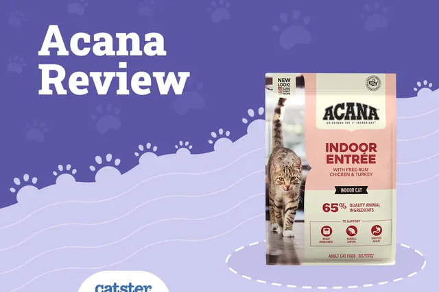 Acana Cat Food Review 2026: Recalls, Pros & Cons