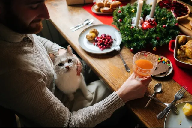 6 Vet-Approved Tips for Having a Cat-Friendly Thanksgiving