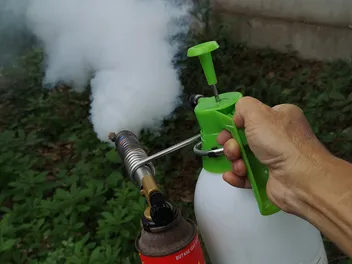 9 Best Flea Killers for Your Yard in 2026 - Reviews & Top Picks