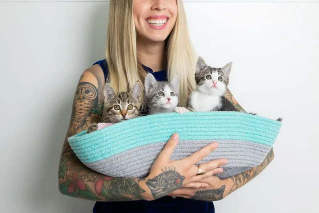 We Chat With Hannah Shaw, the "Neonatal Kitten Warrior"