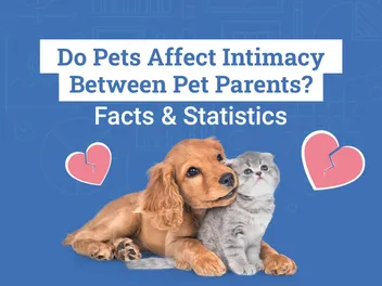 Do Pets Affect Intimacy Between Pet Parents? 2026 Survey Results