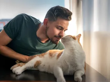 Why Does My Cat Smell Like Maple Syrup? 3 Vet-Reviewed Reasons
