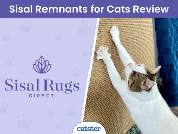 Sisal Rugs Direct Sisal Remnants for Cats Review 2026: Quality Carpet for DIY Cat Accessories