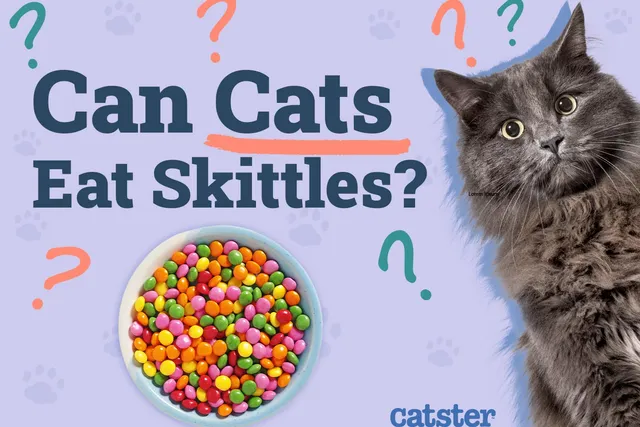 Can Cats Eat Skittles? Vet-Verified Nutritional Facts & Risks