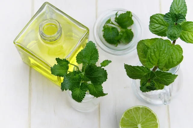 Does Peppermint Oil Kill Fleas on Cats? Vet-Reviewed Effectiveness & Safety