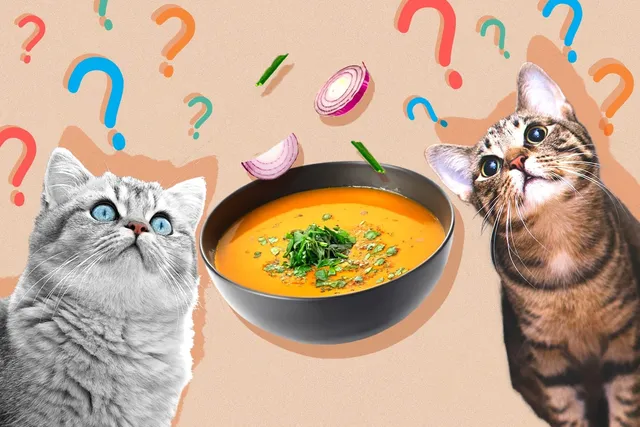 Can Cats Eat Soup? Vet-Reviewed Facts & FAQ