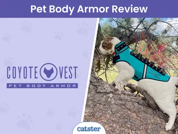 CoyoteVest Pet Body Armor Review 2026: A Detailed Look