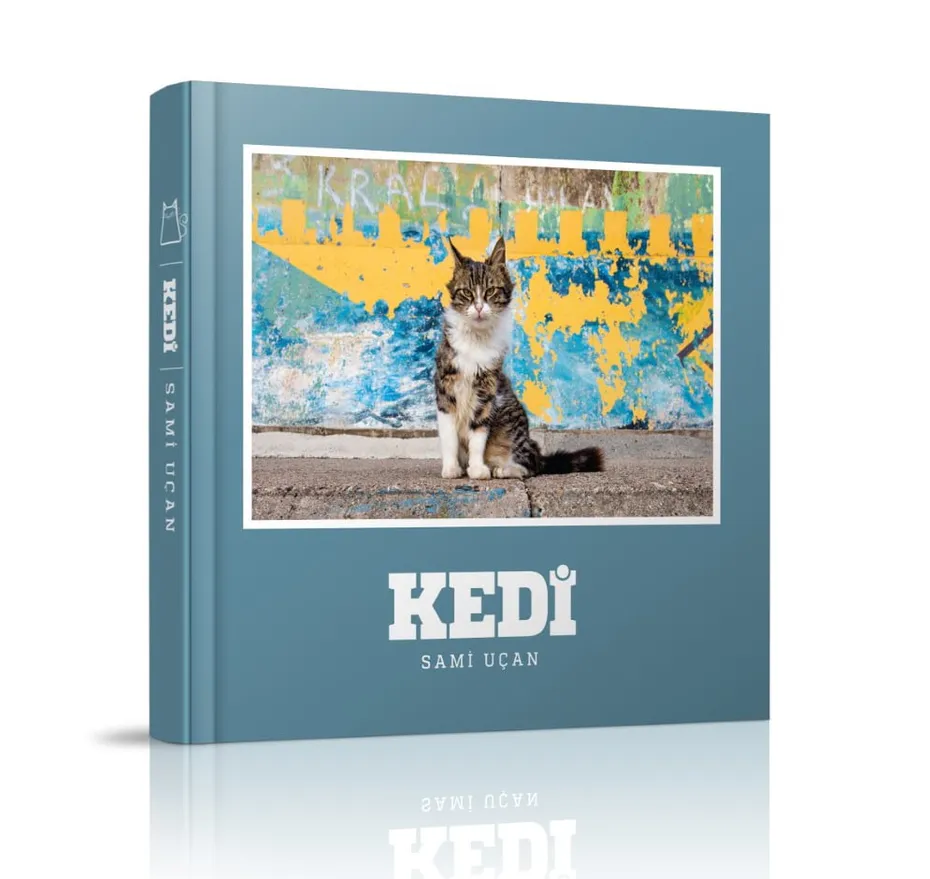 Weekly Mews - Capturing Catstanbul_ Image from Lens Culture
