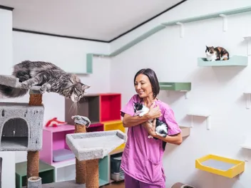 How to Help Animal Shelters: 10 Ways to Consider