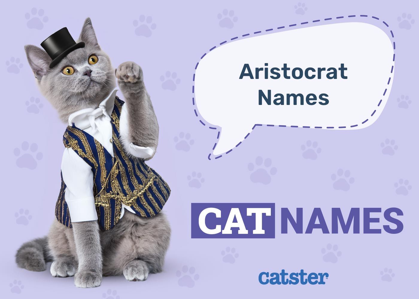 Aristocats Cat Names