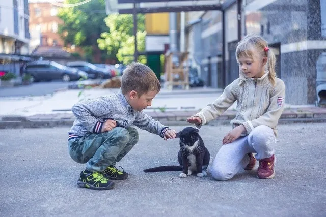 9 Ways Kids Can Raise Money to Help Cats: Fun & Creative Ideas