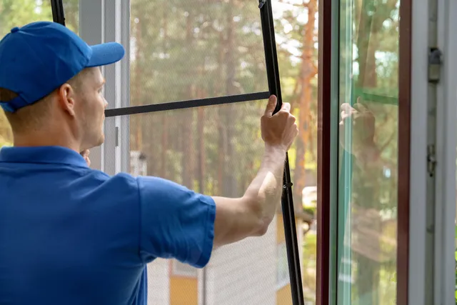 5 Creative DIY Cat Window Guard and Screen Protector Plans (With Pictures)