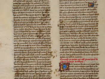 Paws on Parchment - Proof That Cats Have Been 'Helping' Writers for Centuries