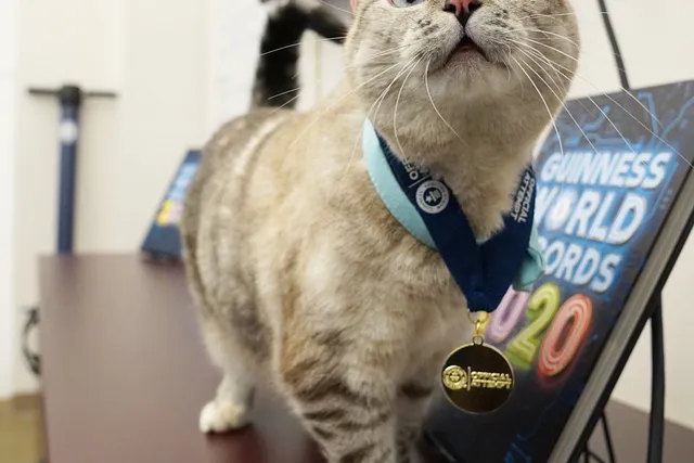 The Love Behind ‘Love, Nala’