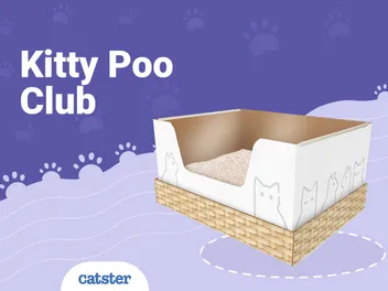 Kitty Poo Club Cat Litter Subscription Review 2026: Pros, Cons & Final Verdict