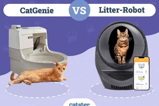 CatGenie Litter Box vs. Litter-Robot: 2026 Comparison