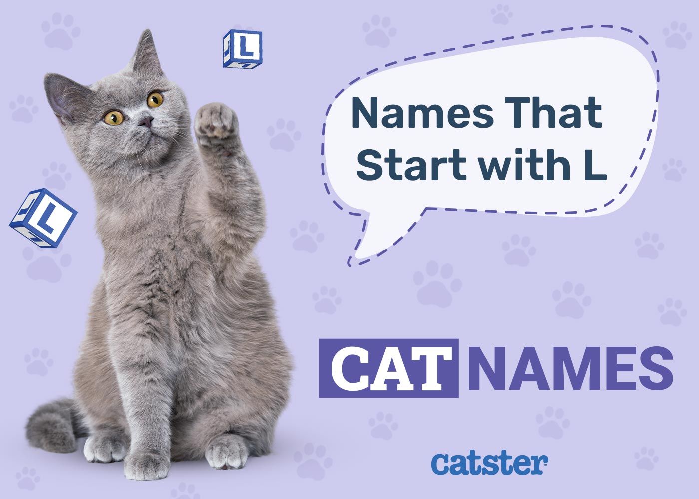 Most Popular Cat Names That Start With L