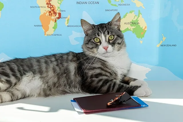 How Much Does a Canadian Pet Passport Cost? (2026 Update)