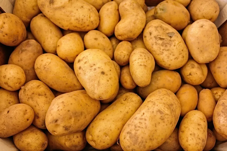 A bunch of potatoes varied sizes