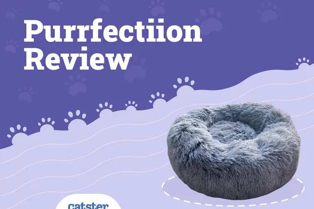 Purrfectiion Fluffy Cat Bed Review 2026: Pros, Cons & Verdict