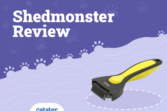 Shedmonster Cat De-Shedding Tool Review 2026 – Pros, Cons, & Verdict