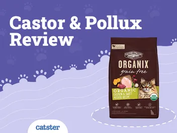 Castor & Pollux Organix Cat Food Review in 2026: Recalls, Pros & Cons