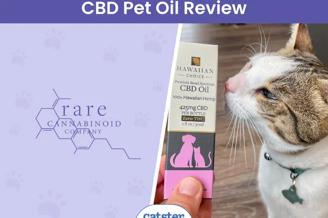 Rare Cannabinoid Company Hawaiian Choice Pet CBD Oil Review 2026: A Detailed Look