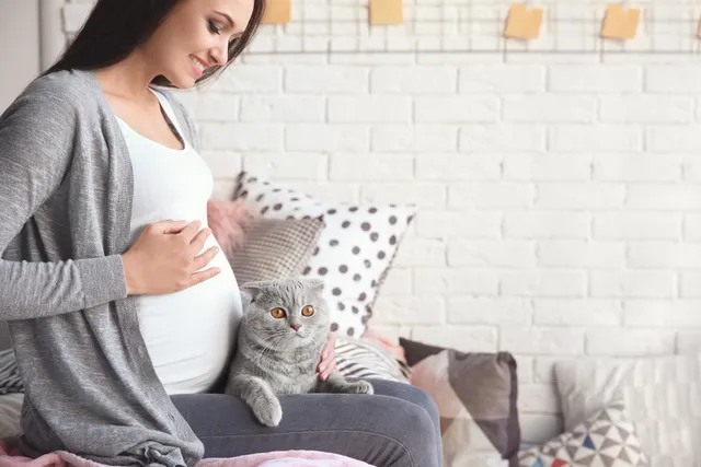 Why Do Cats Attack Pregnant Women? 9 Safety Tips