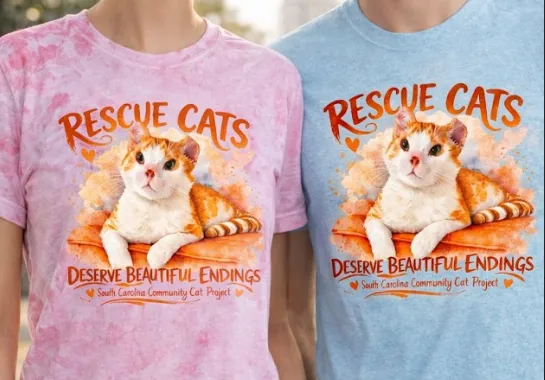 Rescue Cats Deserve Beautiful Endings 2