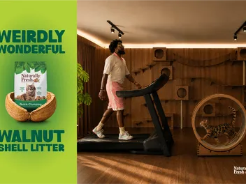 The Weirdly Wonderful Cat Litter Every Cat Parent Should Know About