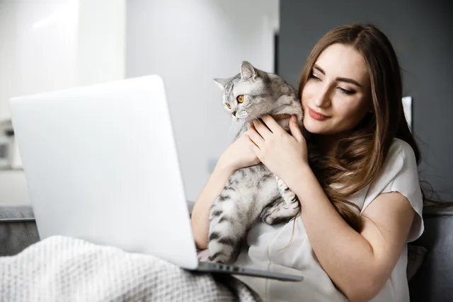 How Can I Talk With a Vet When It’s in the Middle of the Night? 5 Ideas & Online Vet Options