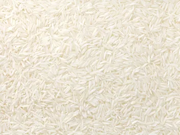Can Rice Be Used as Cat Litter? Vet-Reviewed Pros & Cons