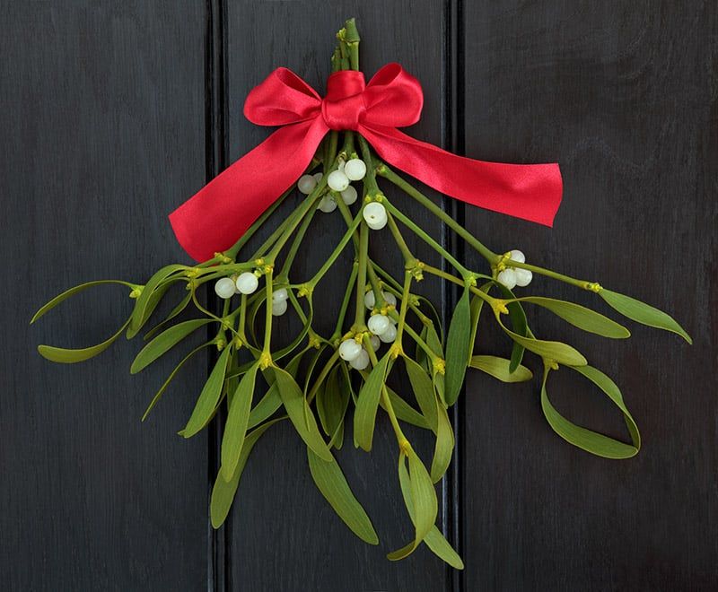 mistletoe with ribbon hanging on the door