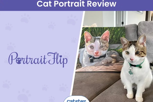 PortraitFlip Pet Portrait Review 2026: Our Expert’s Opinion