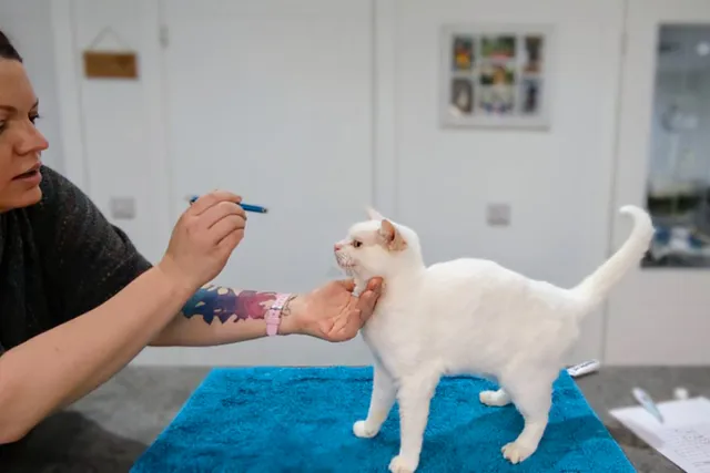 How to Do A Health Check At Home: Dr. Karyn's Guide (with Video)