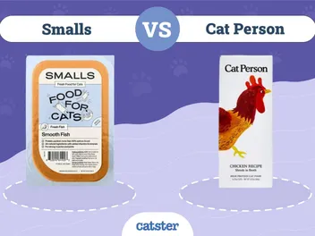 Smalls vs Cat Person: Pros, Cons & Our Verdict