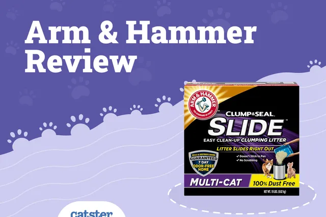 Arm and Hammer Cat Litter Review of 2026: Recalls, Pros & Cons