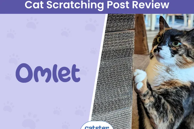 Omlet Cardboard Cat Scratching Post Review 2026: A Detailed Look