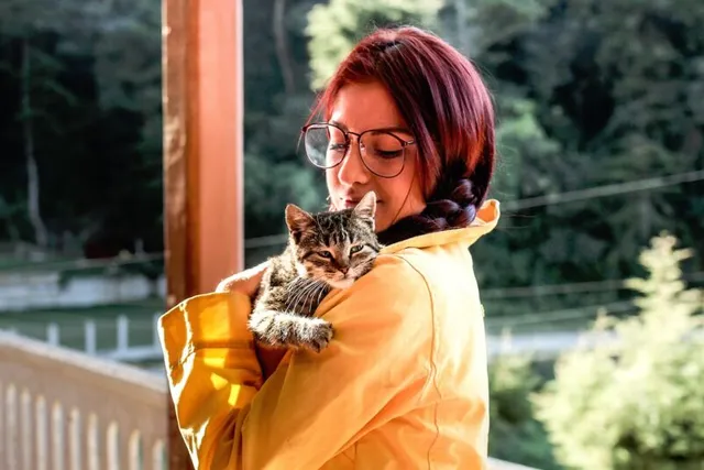 International Cat Rescue Day 2026: How & When Is It Celebrated?