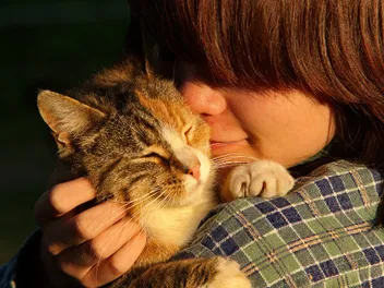 Why Do Cats Smell So Good? Feline Cleaning Habits & Facts