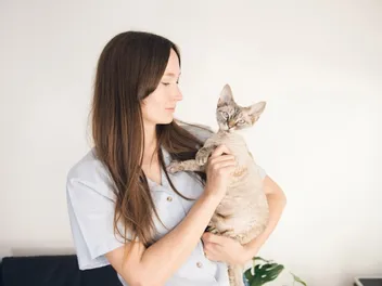 6 Tips for Finding a Cat Sitter: Considerations & FAQ