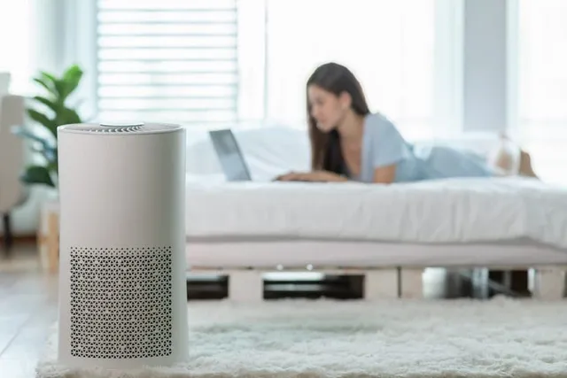 Will an Air Purifier Help With the Smell of Litter? Vet-Approved Facts, Guide & Info
