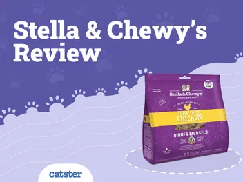 Stella & Chewy’s Cat Food Reviews 2026 : Recalls, Pros & Cons