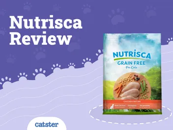 Nutrisca Cat Food Review of 2026: Recalls, Pros & Cons