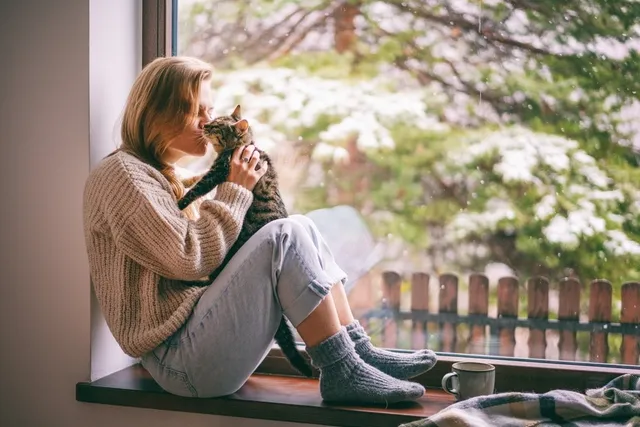 How to Keep a Single Cat Happy: 10 Vet-Verified Tips for a Happy Kitty