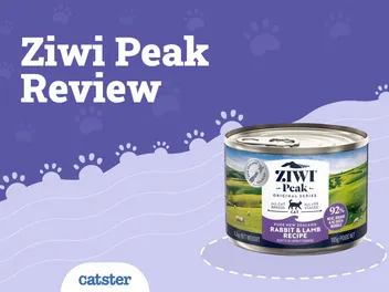 Ziwi Peak Cat Food Review of 2026: Recalls, Pros & Cons