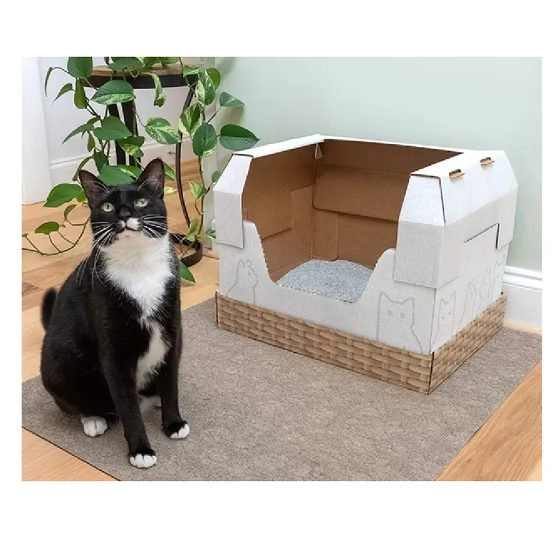 11 Best Cat Litters in 2026 - Reviews & Top Picks — Catster